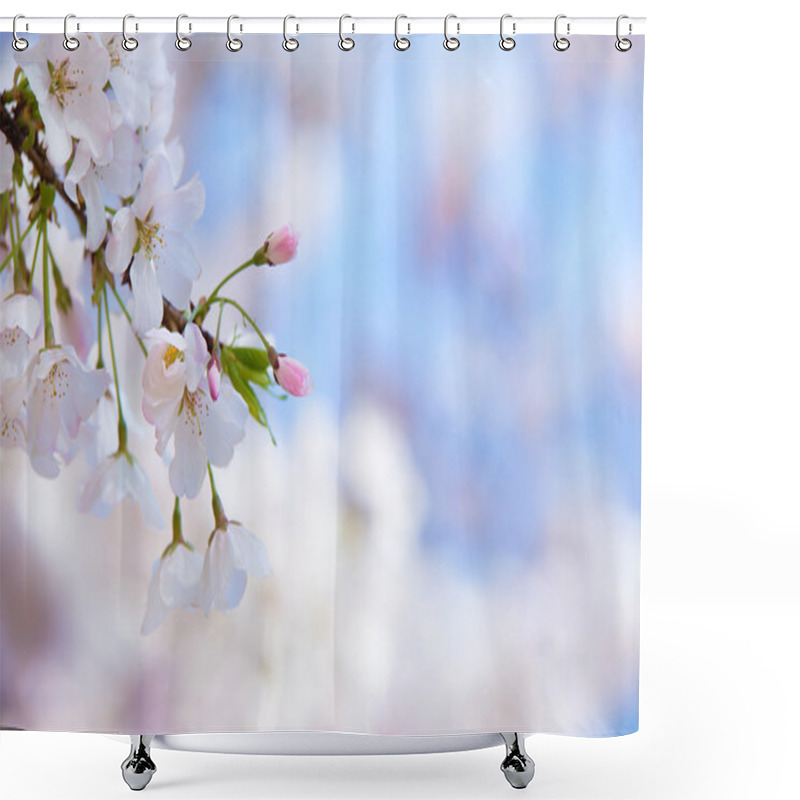 Personality  Closeup Of Cherry Tree Blossoms In Spring Shower Curtains