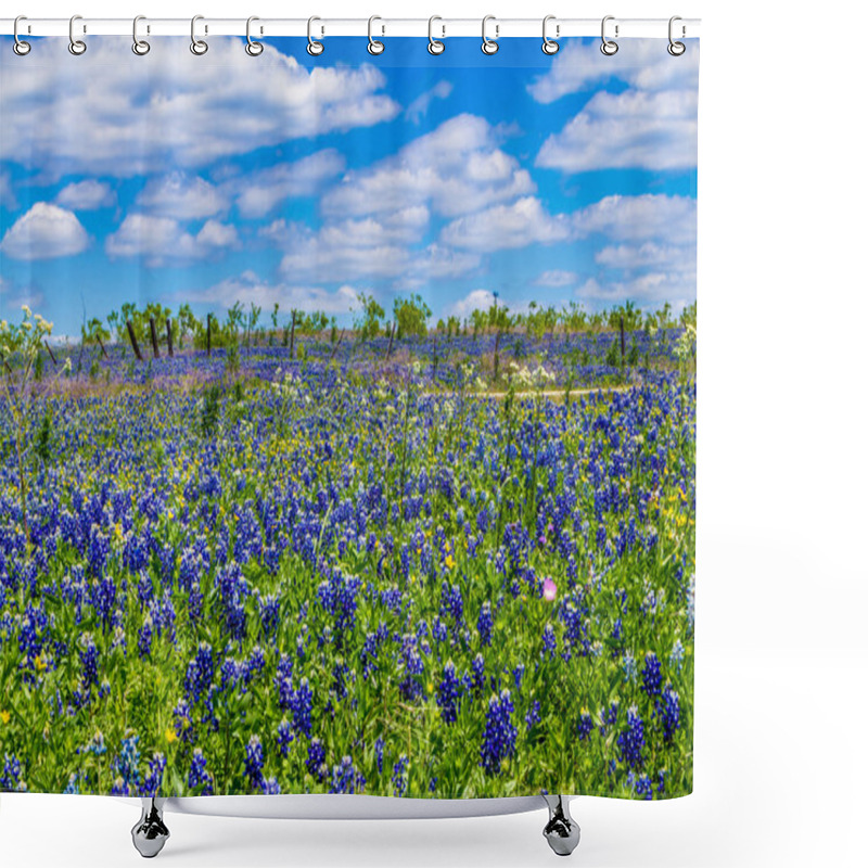 Personality  A Beautiful Wide Angle Shot Of A Field With Fence Blanketed With The Famous Texas Bluebonnet Wildflowers Shower Curtains