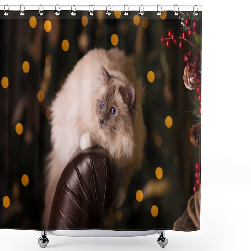 Personality  Cat. Christmans Party, Winter Holidays Cat With Gift Box. New Ye Shower Curtains