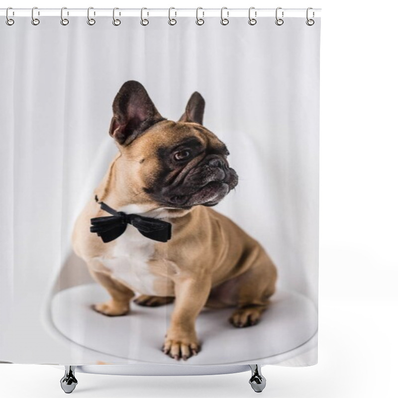 Personality  French Bulldog With Bow Tie Shower Curtains