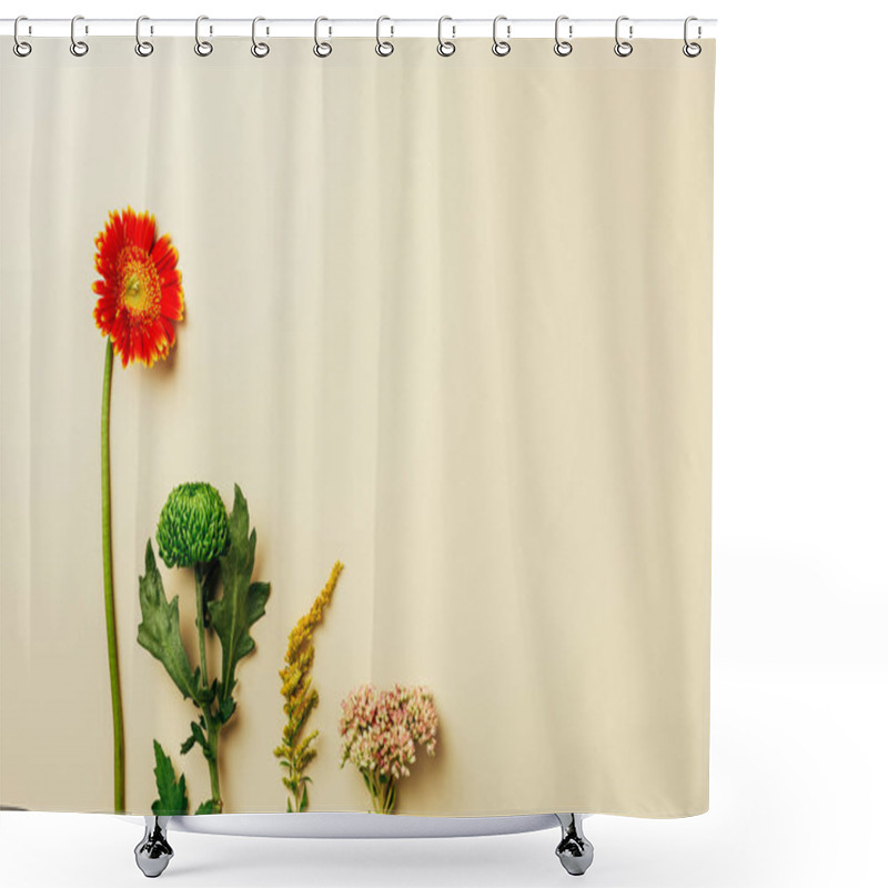 Personality  Top View Of Beautiful Wildflowers Arranged On Beige Background Shower Curtains