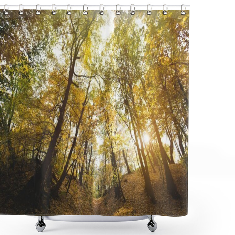 Personality  Beautiful Autumn Park  Shower Curtains