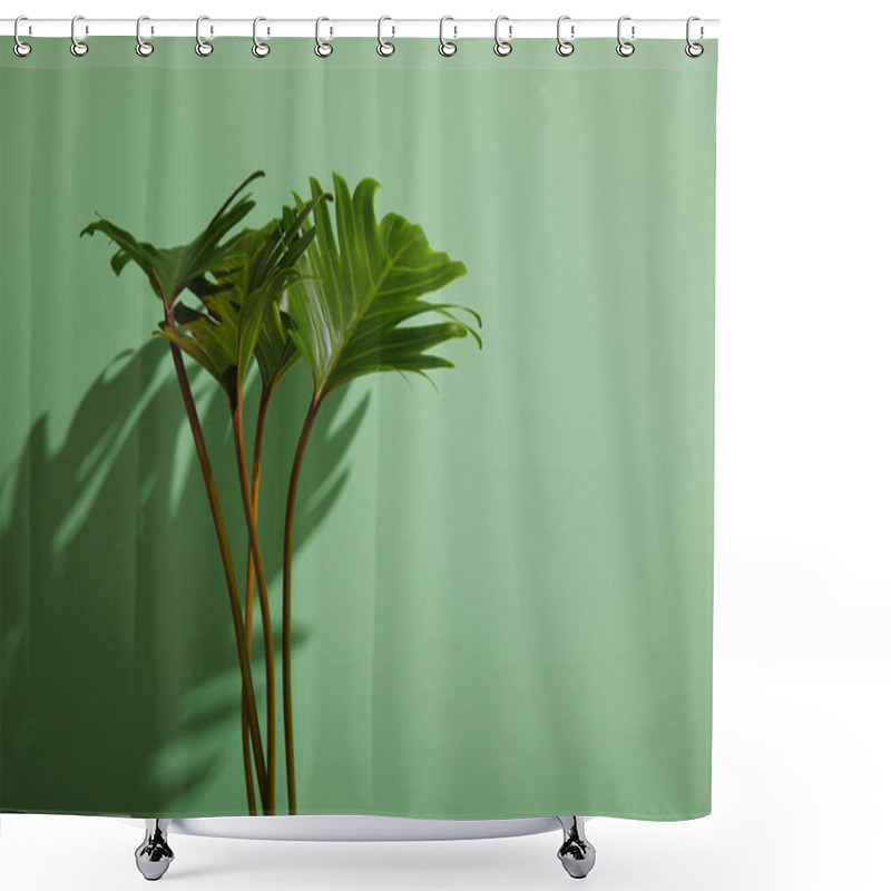 Personality  Fresh Tropical Green Leaves On Green Background With Shadow Shower Curtains