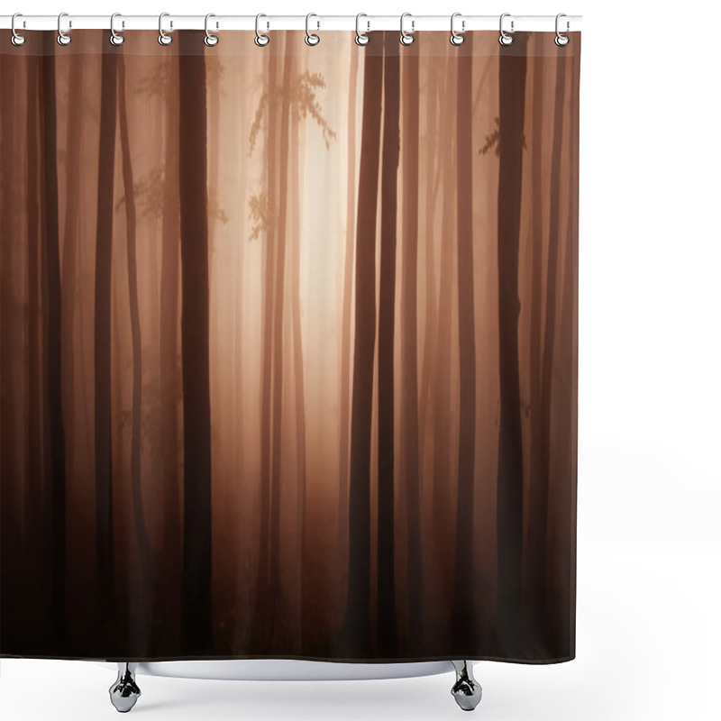 Personality  Dark Misty Spooky Forest Shower Curtains