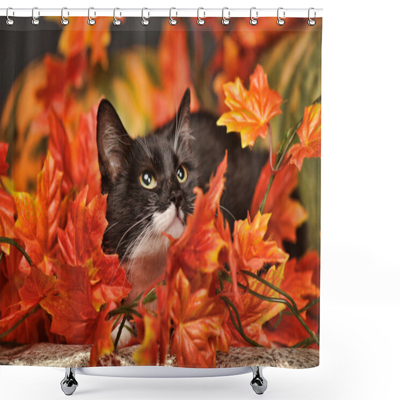 Personality  Black Cat With Orange Pumpkins And Autumn Leaves Shower Curtains