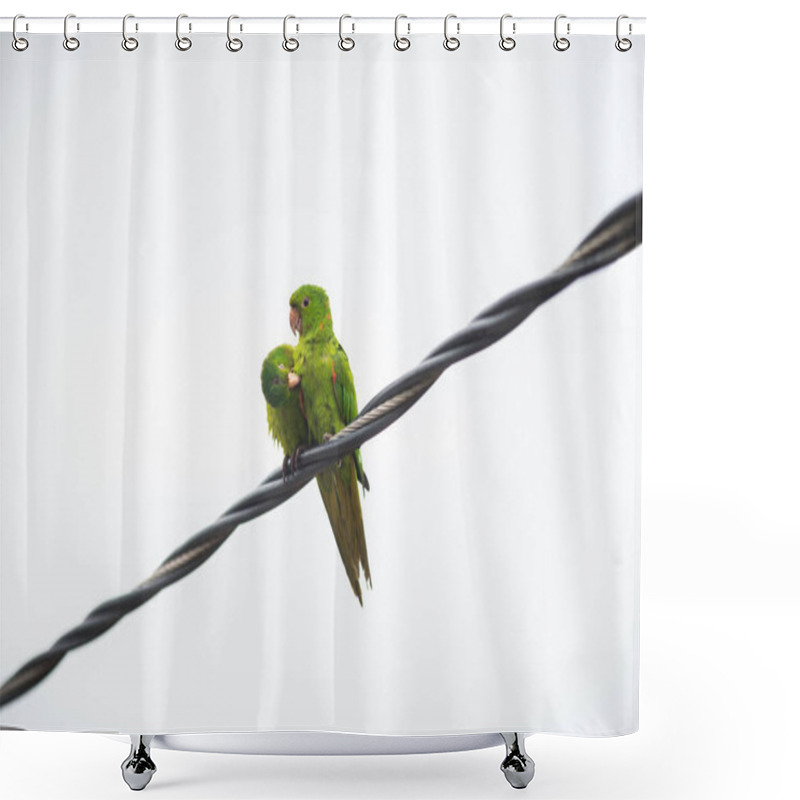 Personality  Couple Of Maritacas On The Cable Shower Curtains