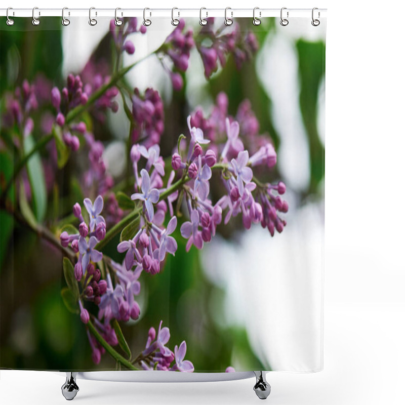 Personality  Beautiful Tender Lilac Flowers On Branches, Selective Focus Shower Curtains