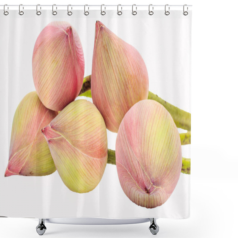 Personality  Pink Budding Lotus Flowers Shower Curtains