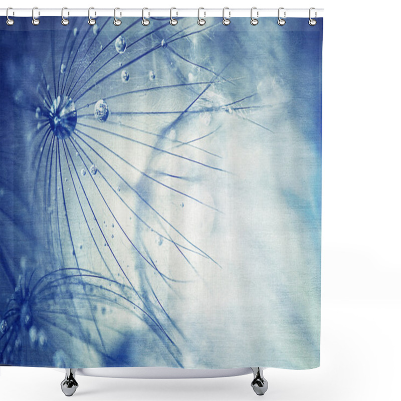 Personality  Beautiful Blue Dandelion Background Shower Curtains