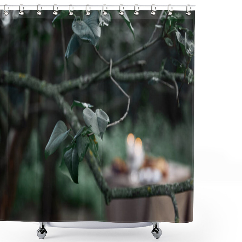 Personality  Green Leaves On Tree Branch With Blurred Table On Background In Garden Shower Curtains