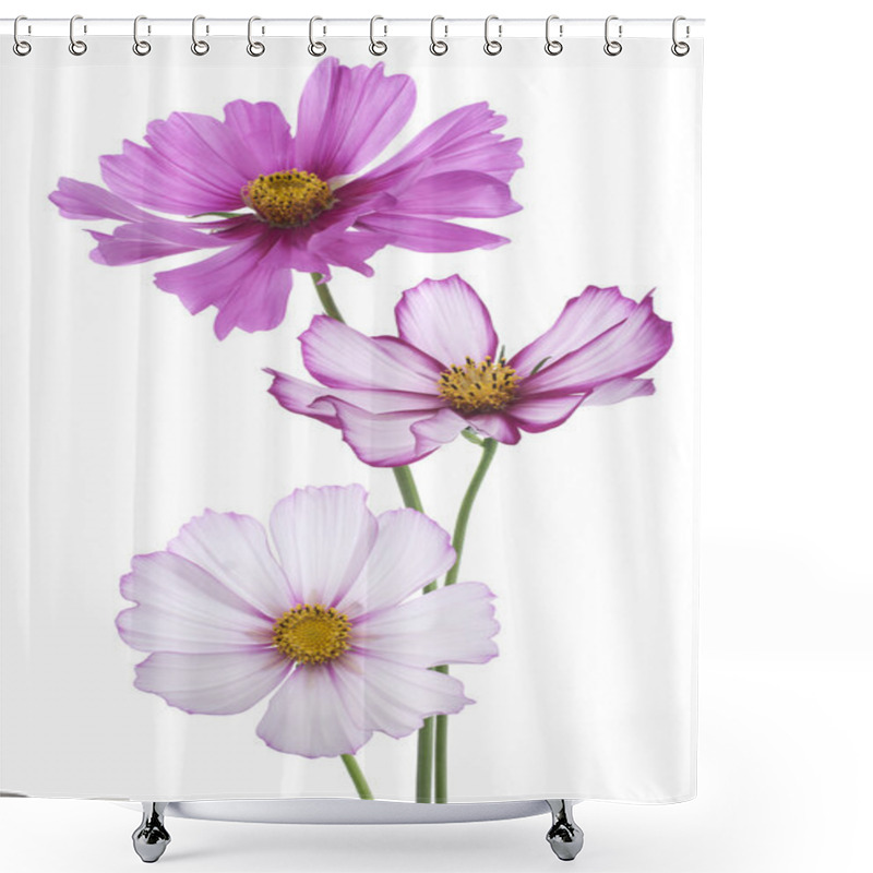 Personality  Cosmos Flower Shower Curtains