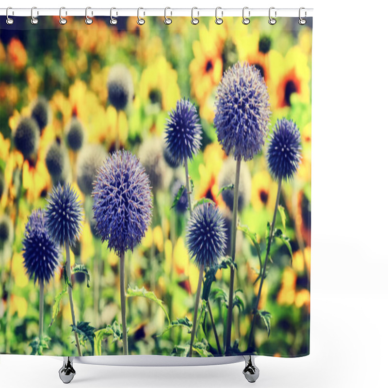 Personality  Summer Field With Echinops Shower Curtains