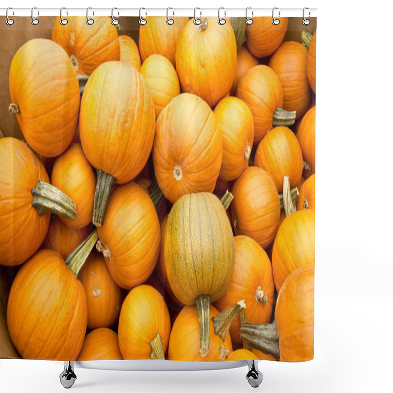 Personality  Pumpkin Harvest Shower Curtains