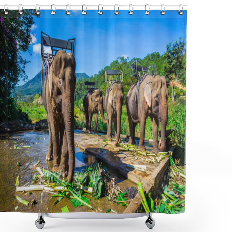 Personality  Farm Of Elephants Near Dalat Shower Curtains