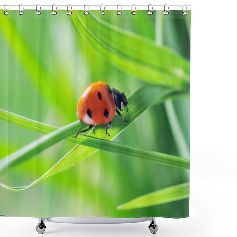 Personality  Ladybug On Grass Shower Curtains