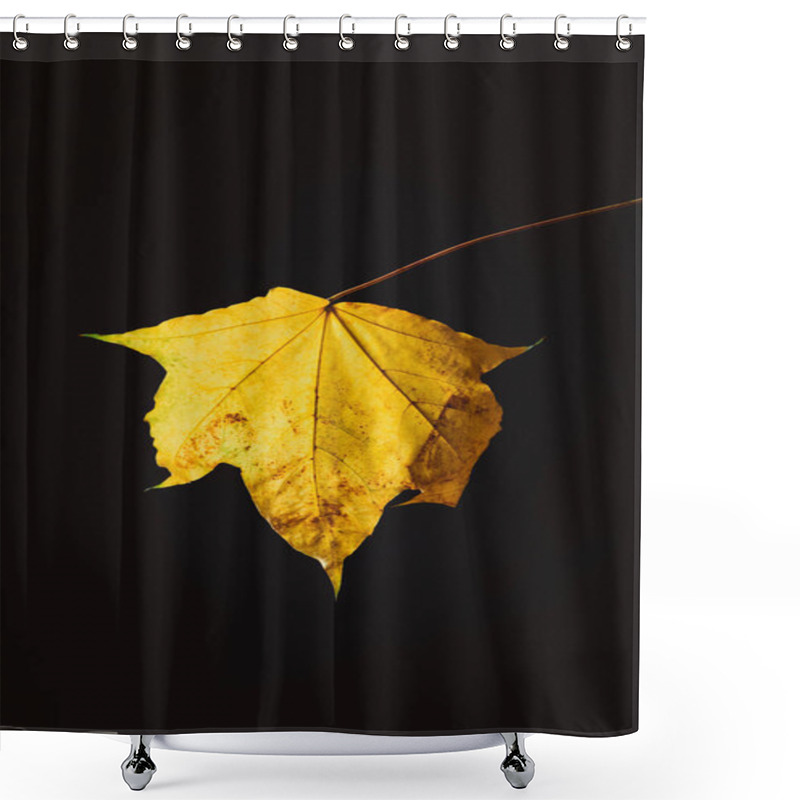 Personality  Beautiful Yellow Maple Leaf Isolated On Black, Autumn Background Shower Curtains