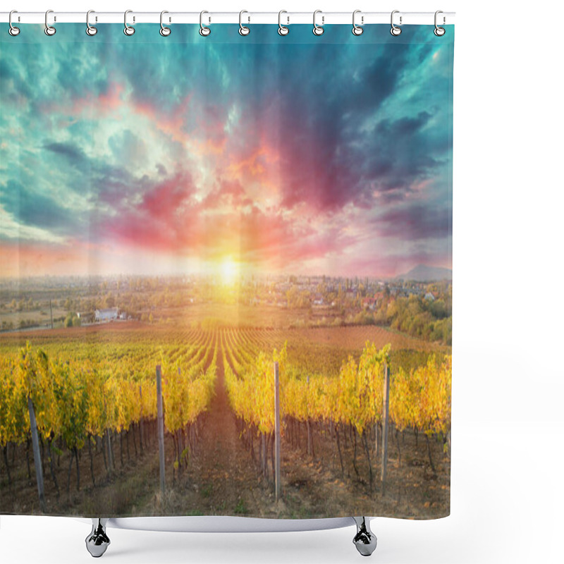 Personality  White Wine With Barrel On Vineyard In Chianti, Tuscany, Italy. Shower Curtains