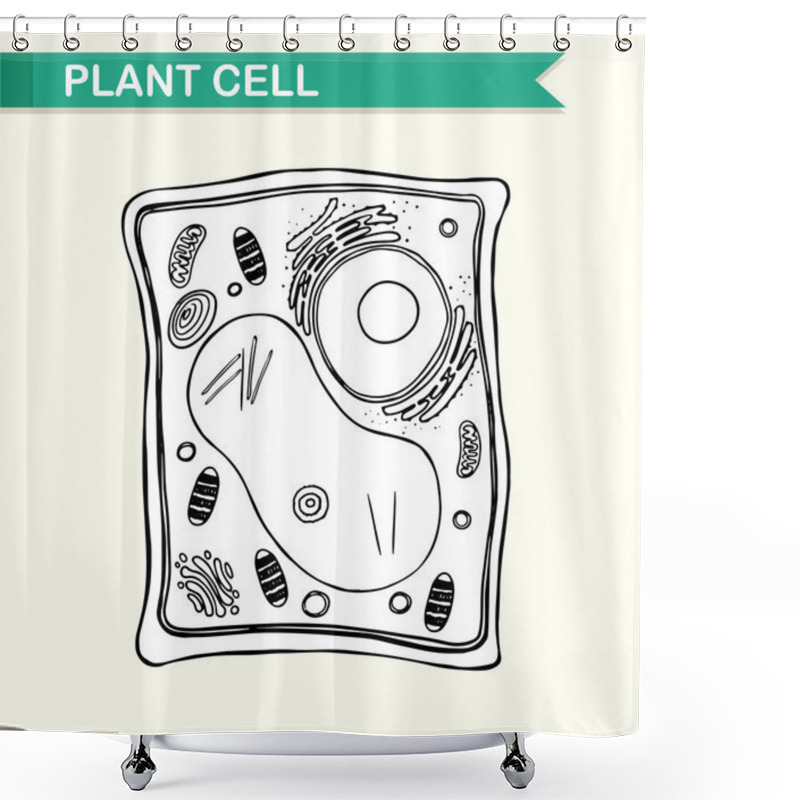 Personality  Diagram Showing Plant Cell In Black And White Shower Curtains