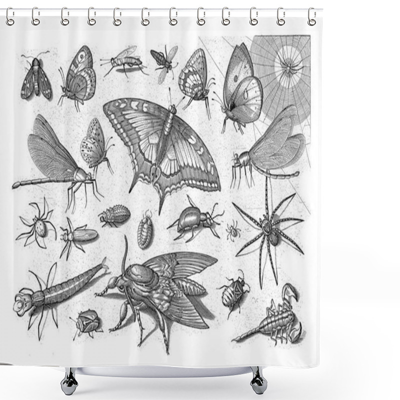 Personality  Different Insects With A Queen Page In The Middle. Shower Curtains