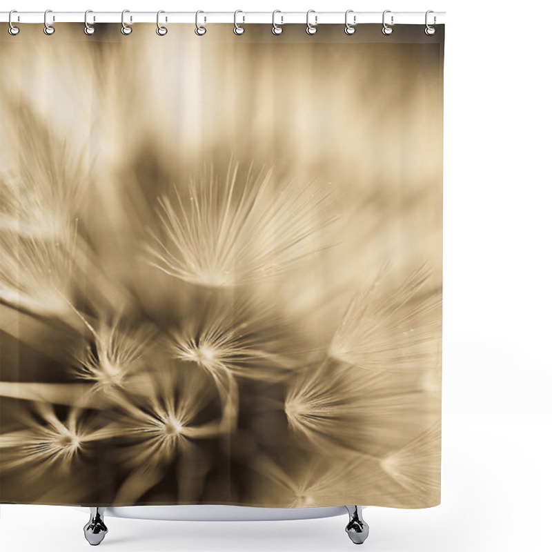 Personality  Abstract Dandelion Flower Background, Extreme Closeup. Big Dandelion On Natural Background. Shower Curtains