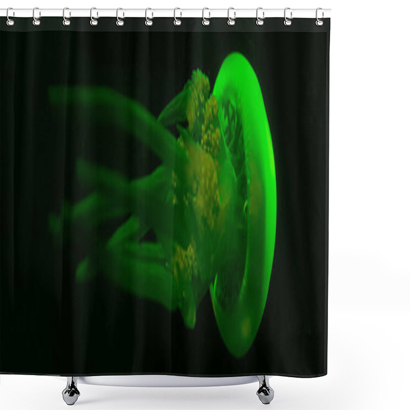 Personality  Panoramic Shot Of Jellyfish In Green Neon Light On Black Background Shower Curtains