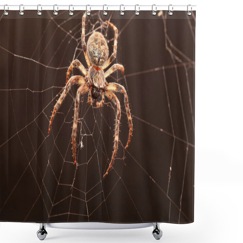 Personality  Dreadful Cross Spider Shower Curtains