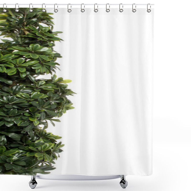 Personality  Green Decorative Bush Border Shower Curtains