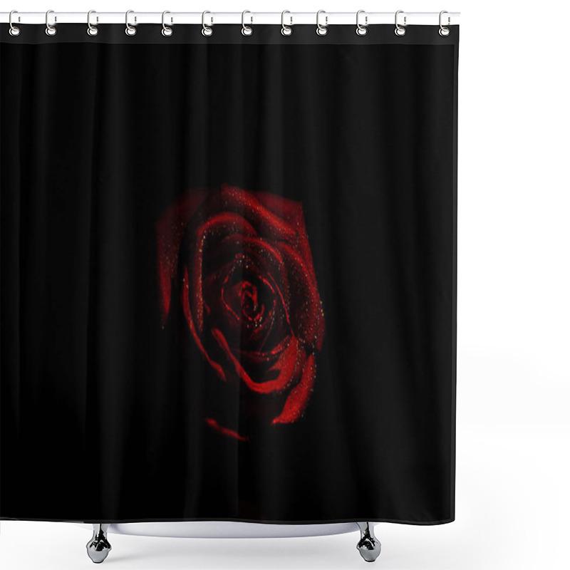 Personality  Scarlet Rose On Dark Background. Macro Photography Of Rosebud With Water Drops. Wet Red Rose On Black Background Close Up Shower Curtains