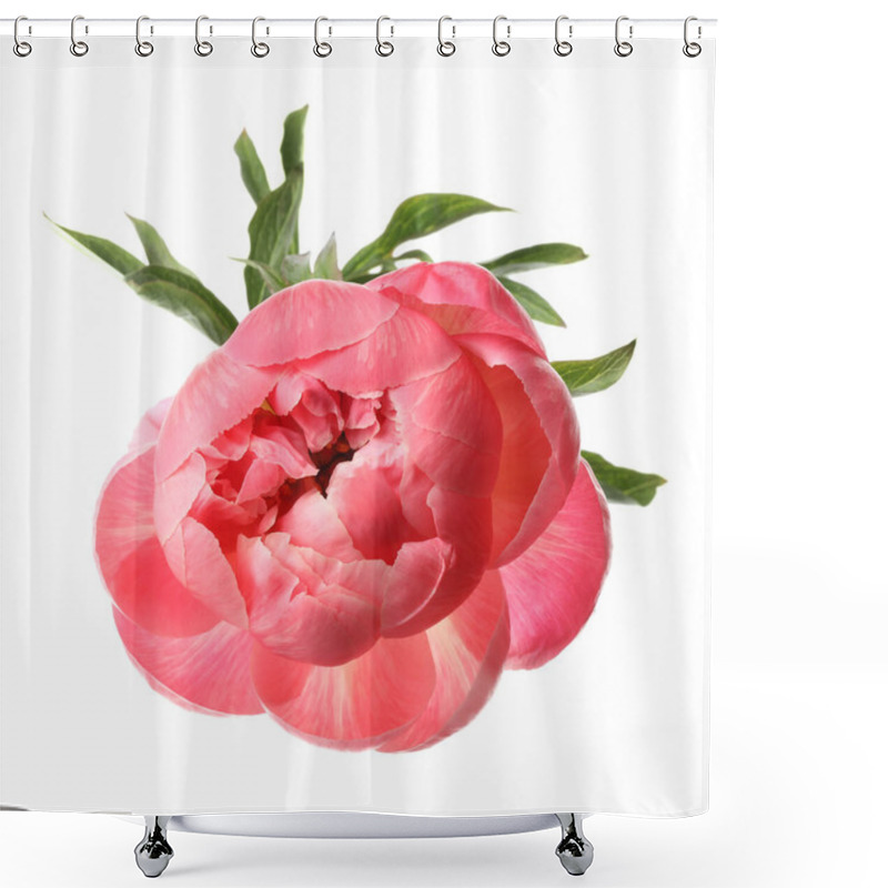 Personality  Beautiful Blooming Pink Peony Isolated On White Shower Curtains