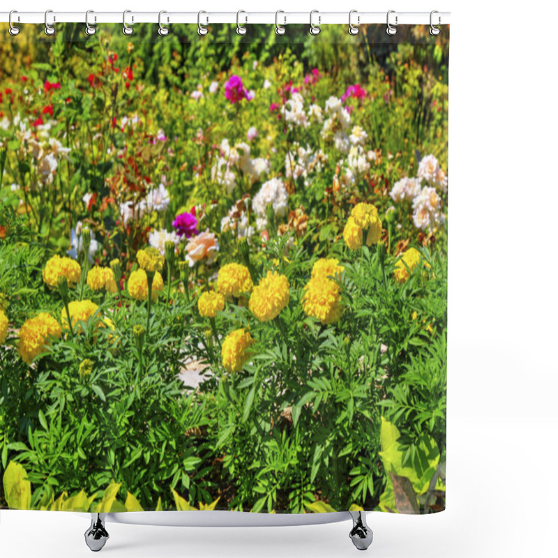 Personality  Beautiful View With Blooming Flowers In The Botanical Garden Shower Curtains