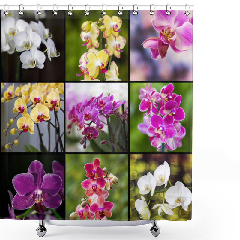 Personality  Orchid Flowers Petals, Phalaenopsis Shower Curtains