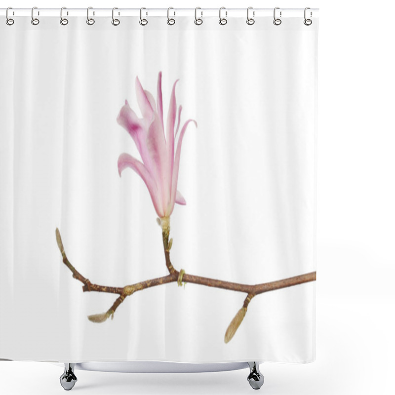 Personality  Magnolia Stellata Flower Shower Curtains