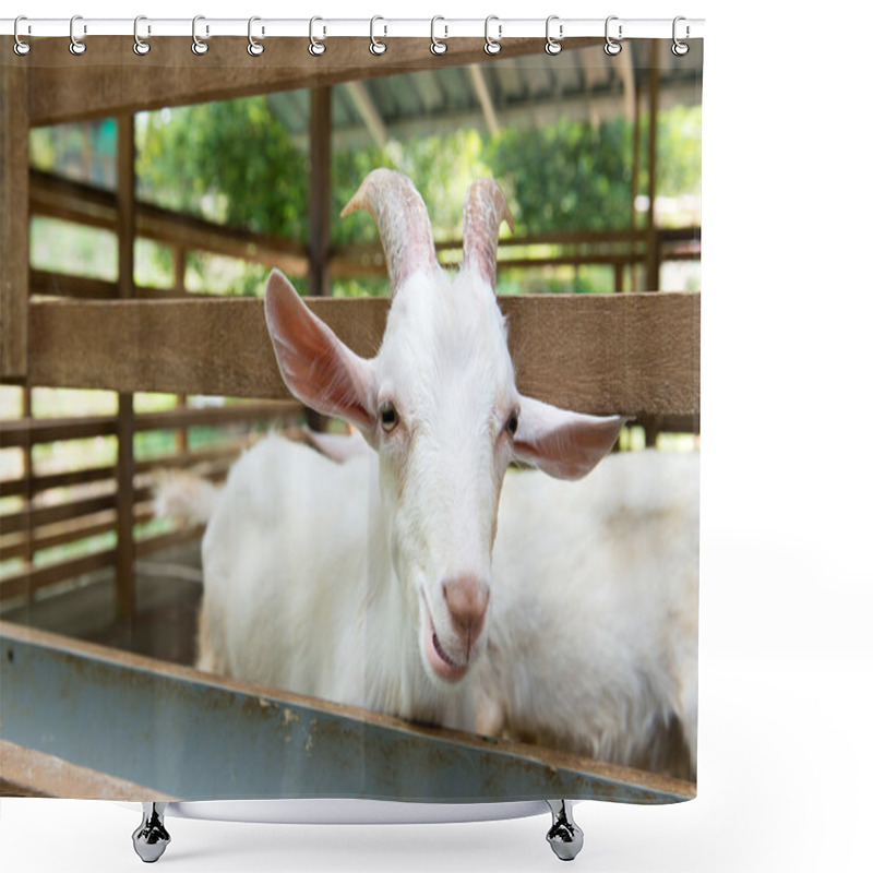 Personality  Goats In Farm Shower Curtains