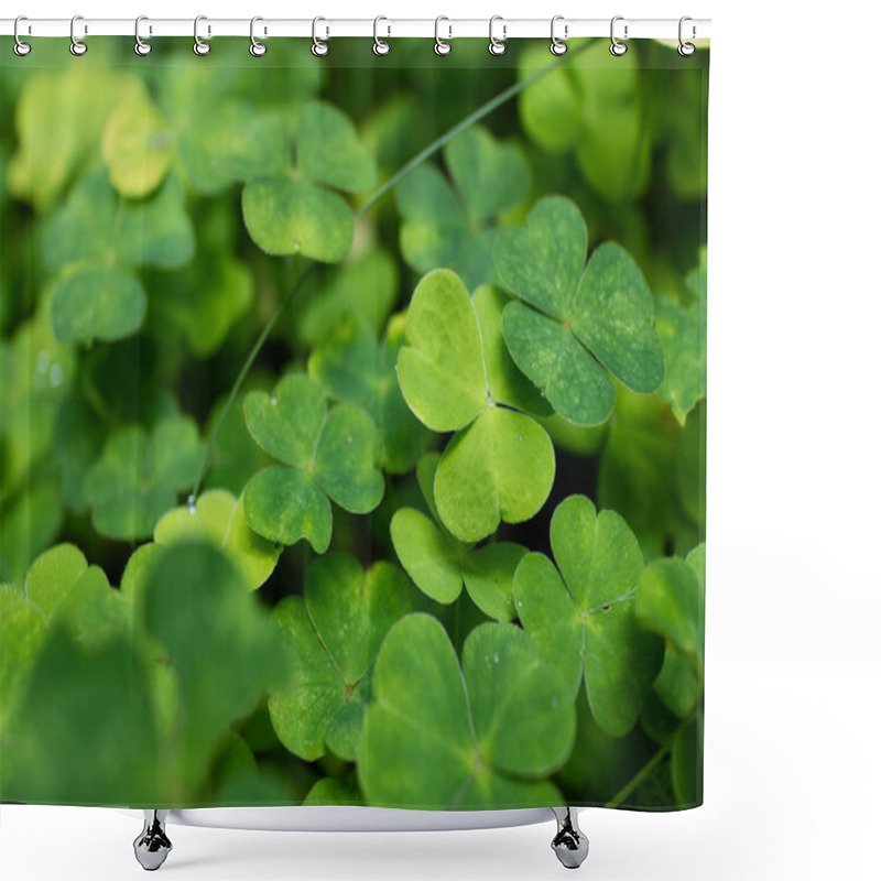 Personality  Clover Plants Close Up Shower Curtains