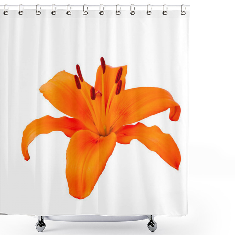 Personality  Orange Lily Isolated On White Background Shower Curtains