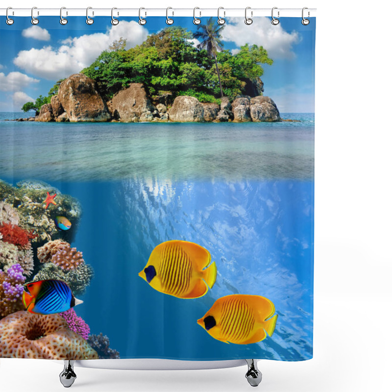 Personality  Photo Of A Coral Colony On A Reef Top Shower Curtains