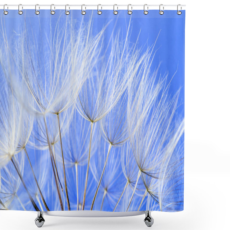 Personality  Dandelion Seeds On Blue Background, Close Up Shower Curtains