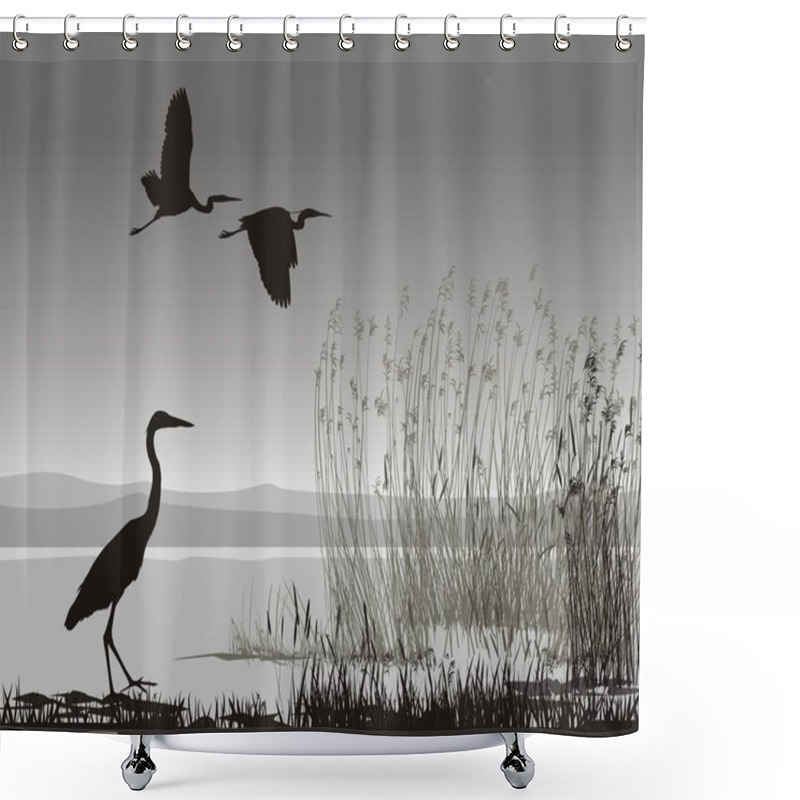 Personality  Illustration Herons Shower Curtains