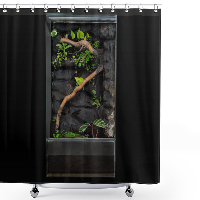 Personality  Indoor Terrarium With Branches And Tropical Plants Shower Curtains