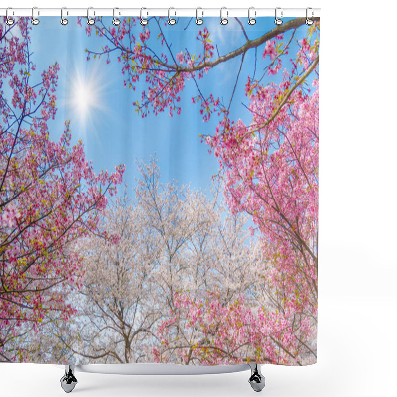 Personality  Wuhan Cherry Blossom Garden Scenery In Spring Shower Curtains