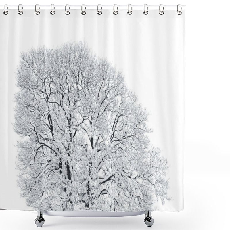 Personality  Decidous Tree Covered In Thick Snow Isolated On White Background; Shower Curtains