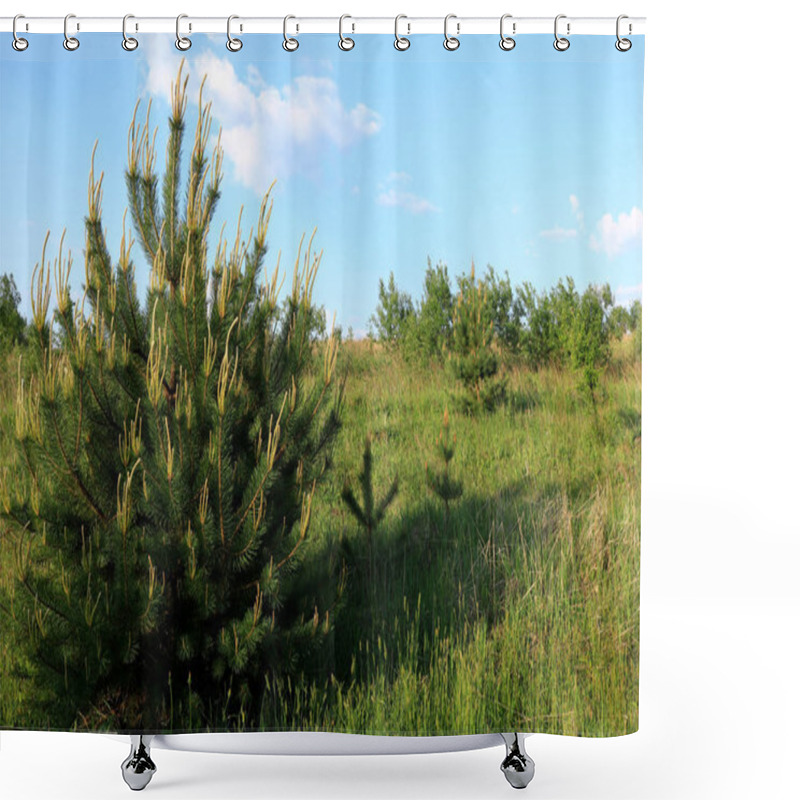 Personality  The Forest Nature Of Ukraine. Summer Sunny Morning. Forest Landscape In Ternopil. Young Forest Trees. Background With Forest Landscape For Phone And Tabet.  Shower Curtains