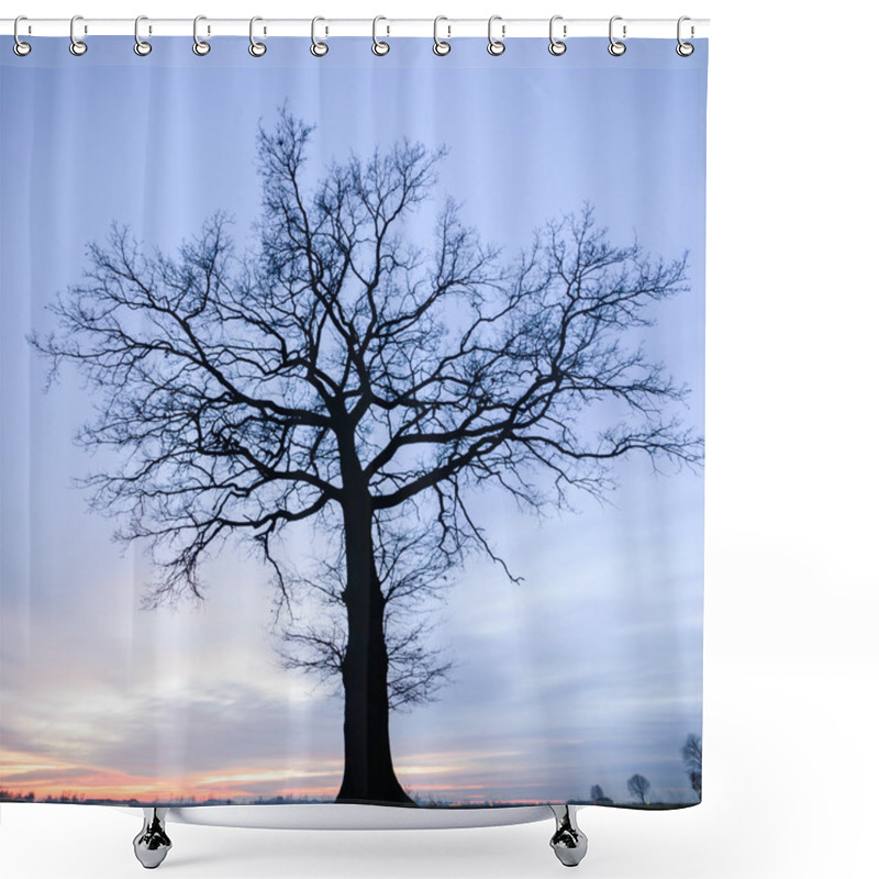 Personality  Tree Shower Curtains