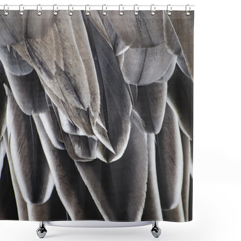 Personality  Bird Wing Detail Texture Shower Curtains