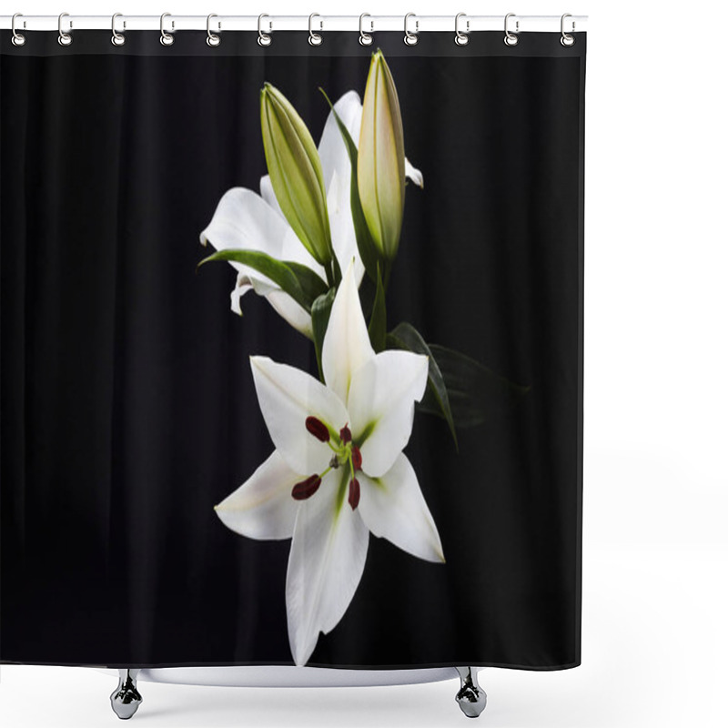 Personality  Lily On Black For Celebration Decoration Design. Spring, Nature Background. Shower Curtains