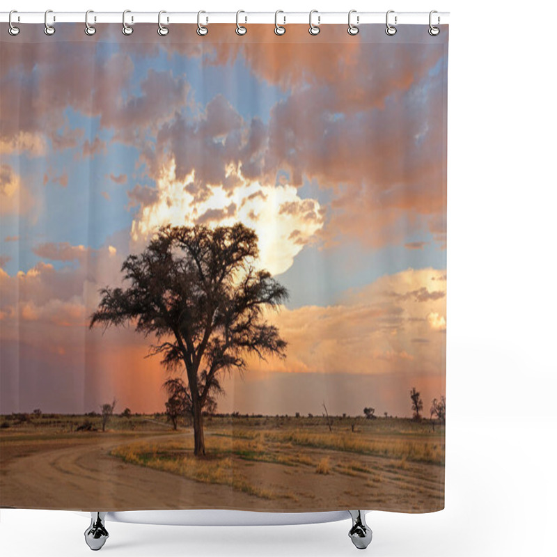 Personality  Sunset With Silhouetted African Thorn Tree And Clouds, Kalahari Desert, South Afric Shower Curtains