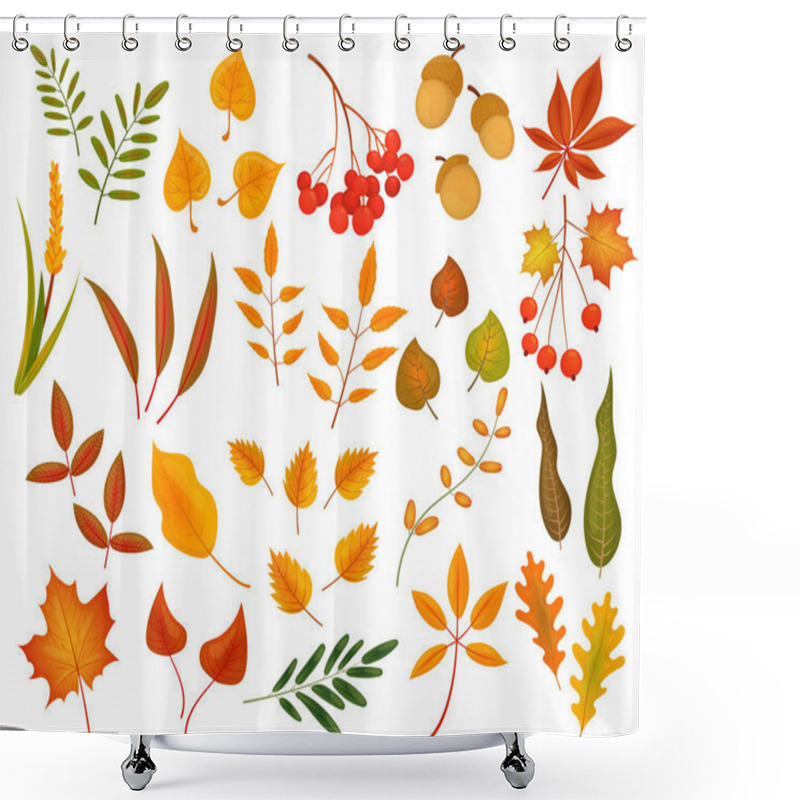 Personality  Big Set Of Cute Autumn Leaves, Berries Shower Curtains