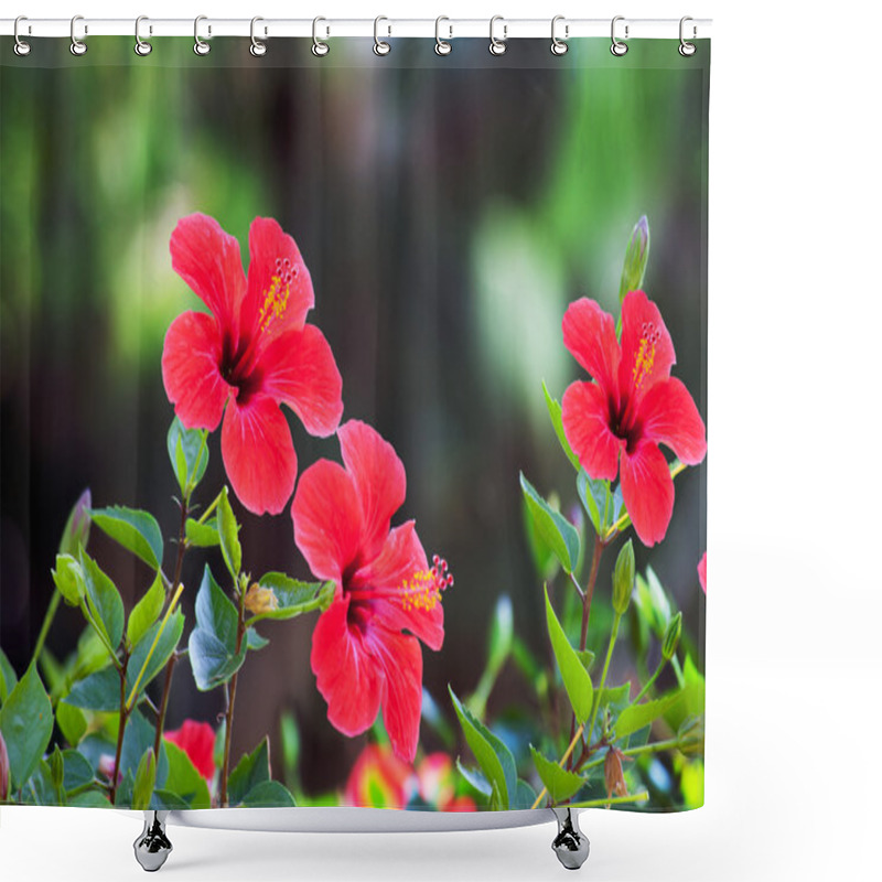 Personality  Red Hibiscus Flower Over Natural Green Bokeh Background Shower Curtains