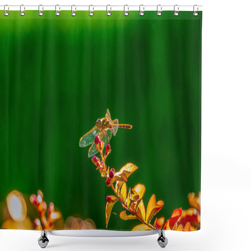 Personality  Dragonfly Perched On Vibrant Flower Buds Against A Lush Green Background Shower Curtains