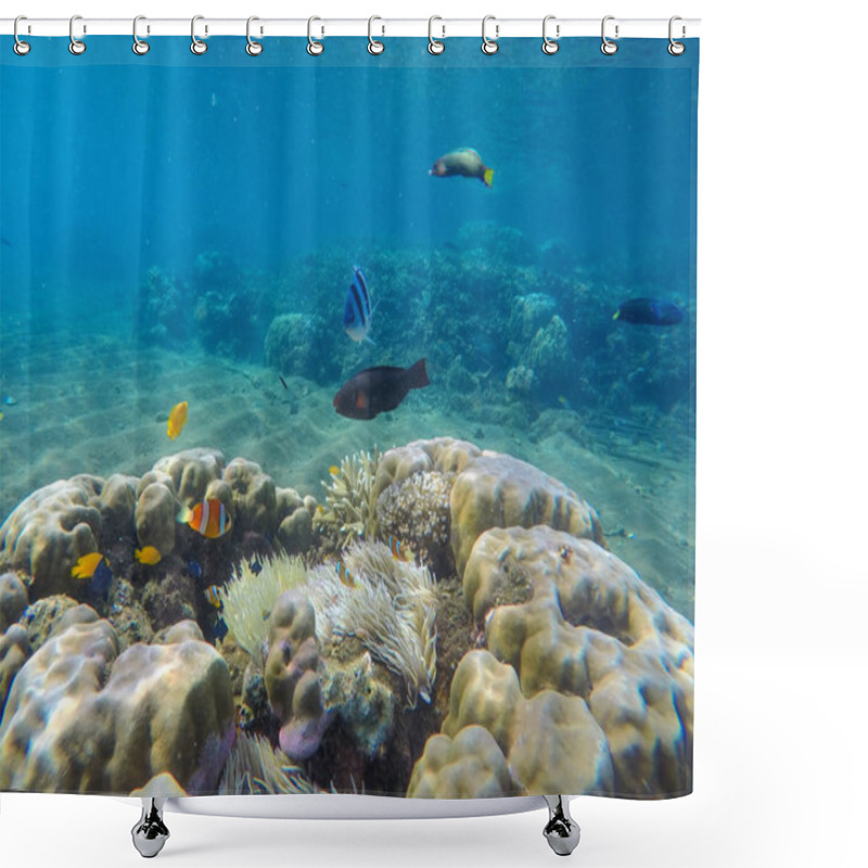 Personality  Underwater Landscape With Tropical Fishes. Coral Reef Landscape With Yellow And Black Fishes Shower Curtains